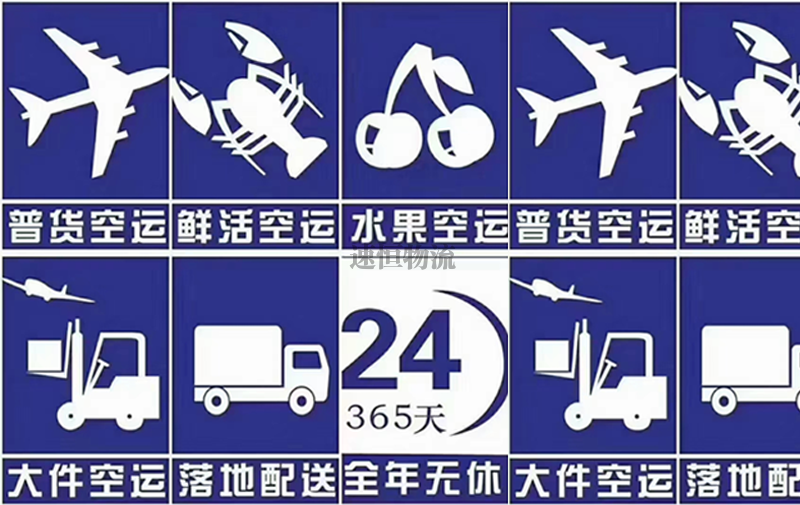 國內航空運輸